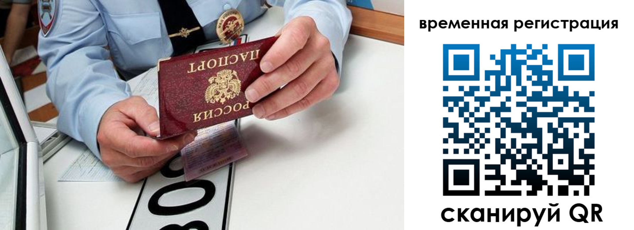 прописка гарантия в Емве